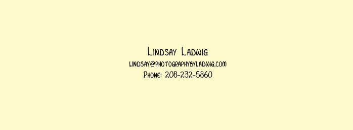 Contact Information